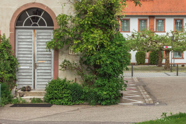 Orgelbau Fabrik Sonntag
