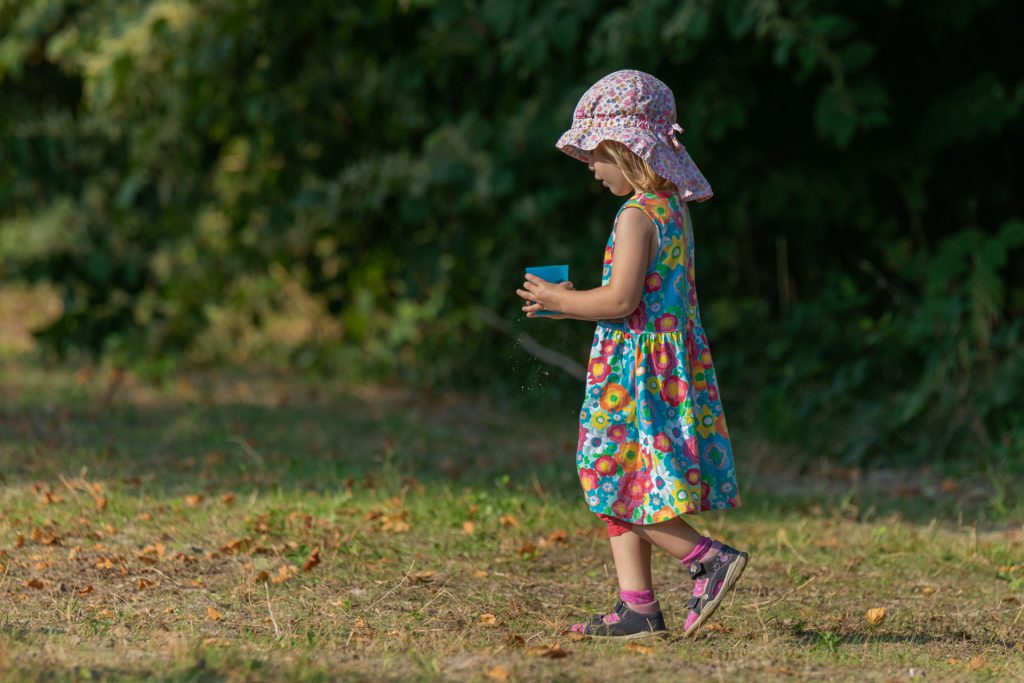 Blühende Wiesen auf dem Gelände der Fabrik Sonntag